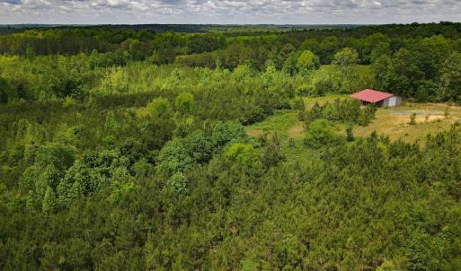 Photo #10 of SOLD property in Off Hillbilly Trail, Nathalie, VA 44.9 acres