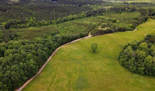 Photo #46 of SOLD property in Off Hillbilly Trail, Nathalie, VA 44.9 acres