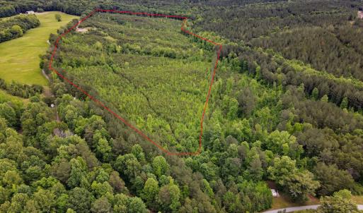 Photo #48 of SOLD property in Off Hillbilly Trail, Nathalie, VA 44.9 acres