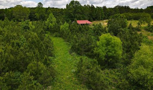 Photo #9 of SOLD property in Off Hillbilly Trail, Nathalie, VA 44.9 acres
