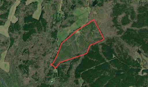 Photo #1 of SOLD property in Off Hillbilly Trail, Nathalie, VA 44.9 acres