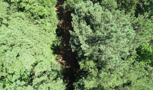 Photo #10 of Off Loco School Road, Stony Creek, VA 3.1 acres