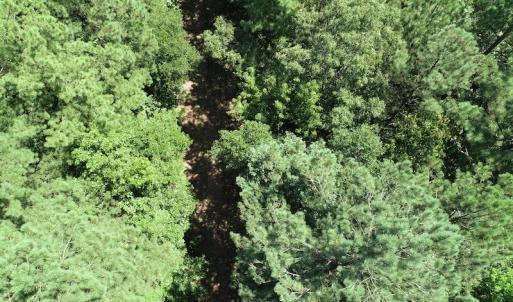 Photo #11 of Off Loco School Road, Stony Creek, VA 3.1 acres