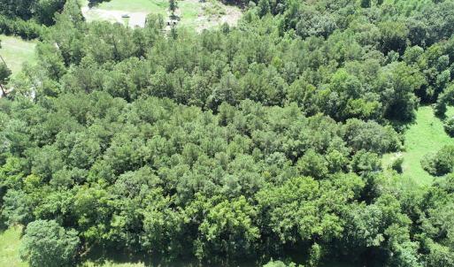 Photo #14 of Off Loco School Road, Stony Creek, VA 3.1 acres