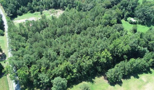 Photo #15 of Off Loco School Road, Stony Creek, VA 3.1 acres