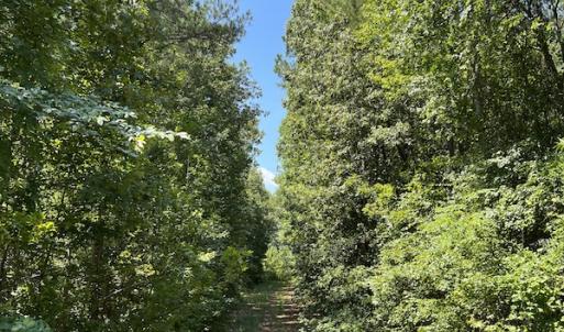 Photo #19 of Off Loco School Road, Stony Creek, VA 3.1 acres
