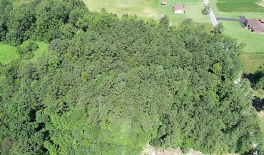 Photo #4 of Off Loco School Road, Stony Creek, VA 3.1 acres