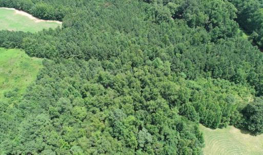 Photo #9 of SOLD property in Off Boydton Plank Road, Warfield, VA 13.7 acres