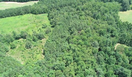 Photo #10 of SOLD property in Off Boydton Plank Road, Warfield, VA 13.7 acres