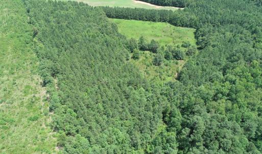 Photo #11 of SOLD property in Off Boydton Plank Road, Warfield, VA 13.7 acres