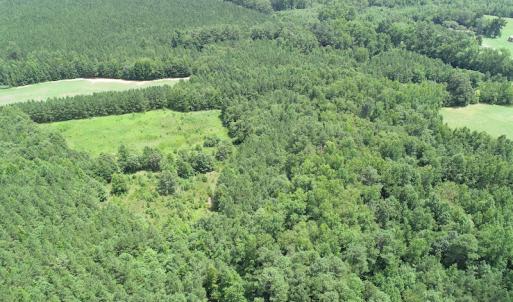 Photo #12 of SOLD property in Off Boydton Plank Road, Warfield, VA 13.7 acres