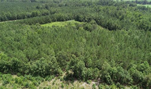 Photo #13 of SOLD property in Off Boydton Plank Road, Warfield, VA 13.7 acres