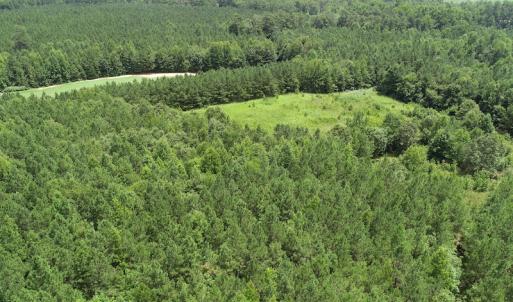Photo #14 of SOLD property in Off Boydton Plank Road, Warfield, VA 13.7 acres