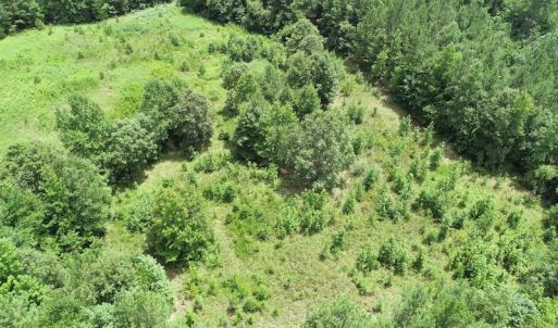 Photo #15 of SOLD property in Off Boydton Plank Road, Warfield, VA 13.7 acres