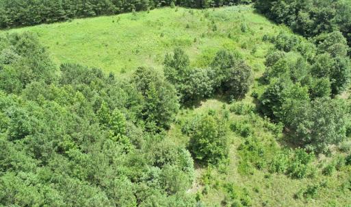 Photo #16 of SOLD property in Off Boydton Plank Road, Warfield, VA 13.7 acres