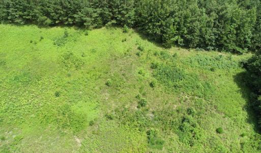 Photo #17 of SOLD property in Off Boydton Plank Road, Warfield, VA 13.7 acres