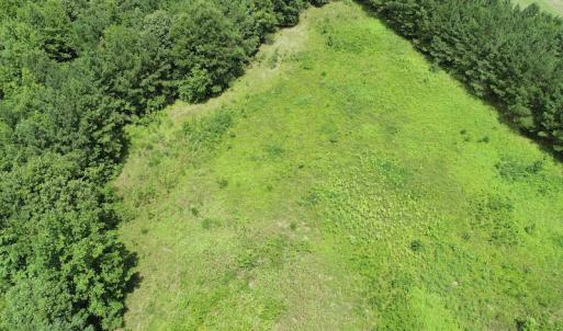 Photo #18 of SOLD property in Off Boydton Plank Road, Warfield, VA 13.7 acres