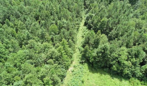 Photo #19 of SOLD property in Off Boydton Plank Road, Warfield, VA 13.7 acres