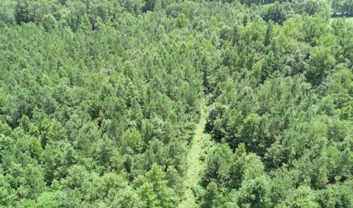 Photo #20 of SOLD property in Off Boydton Plank Road, Warfield, VA 13.7 acres
