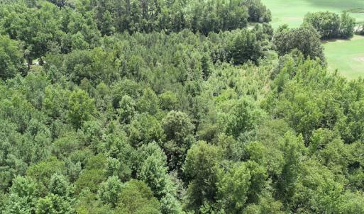Photo #21 of SOLD property in Off Boydton Plank Road, Warfield, VA 13.7 acres