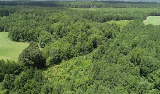 Photo #22 of SOLD property in Off Boydton Plank Road, Warfield, VA 13.7 acres