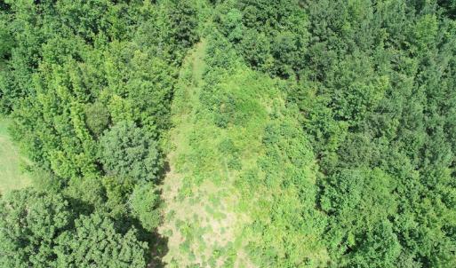 Photo #23 of SOLD property in Off Boydton Plank Road, Warfield, VA 13.7 acres