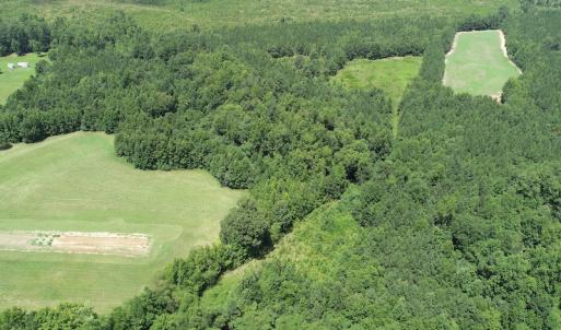 Photo #4 of SOLD property in Off Boydton Plank Road, Warfield, VA 13.7 acres