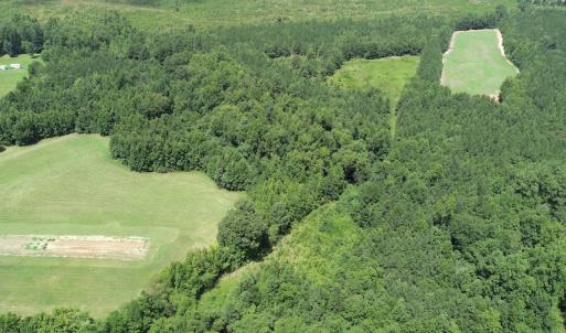 Photo #7 of SOLD property in Off Boydton Plank Road, Warfield, VA 13.7 acres