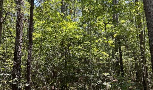 Photo #30 of Off Loco School Road, Stony Creek, VA 7.5 acres
