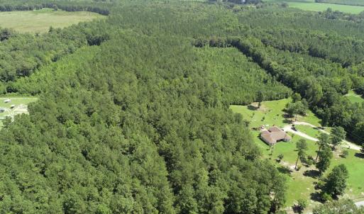 Photo #2 of Off Loco School Road, Stony Creek, VA 7.5 acres