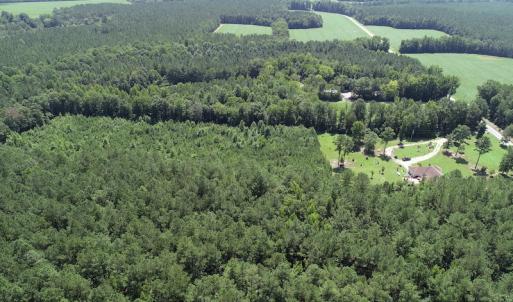 Photo #4 of Off Loco School Road, Stony Creek, VA 7.5 acres
