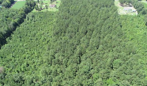 Photo #7 of Off Loco School Road, Stony Creek, VA 7.5 acres
