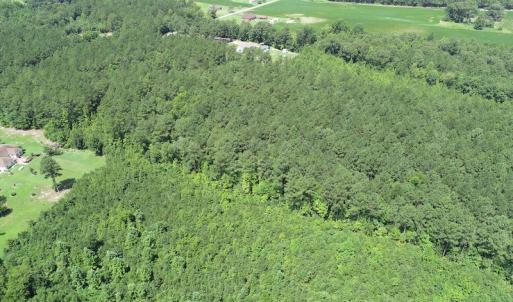 Photo #10 of Off Loco School Road, Stony Creek, VA 7.5 acres