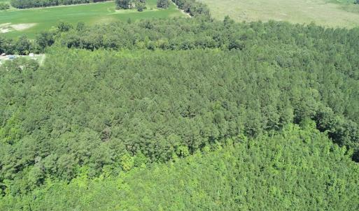 Photo #12 of Off Loco School Road, Stony Creek, VA 7.5 acres