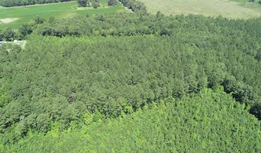 Photo #13 of Off Loco School Road, Stony Creek, VA 7.5 acres