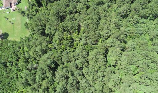 Photo #16 of Off Loco School Road, Stony Creek, VA 7.5 acres