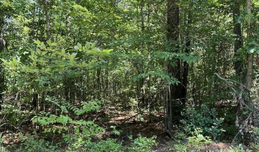 Photo #26 of Off Loco School Road, Stony Creek, VA 7.5 acres