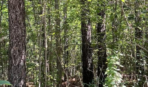Photo #27 of Off Loco School Road, Stony Creek, VA 7.5 acres