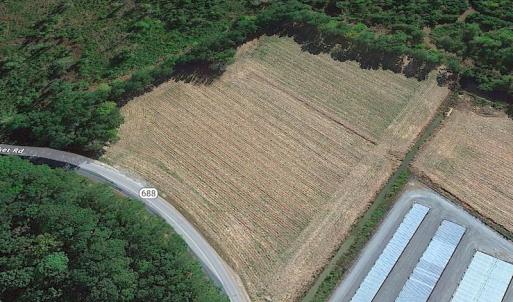Photo #14 of SOLD property in Off Newmarket Road, Courtland, VA 6.0 acres