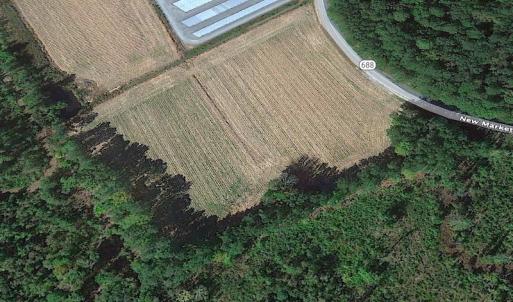 Photo #16 of SOLD property in Off Newmarket Road, Courtland, VA 6.0 acres