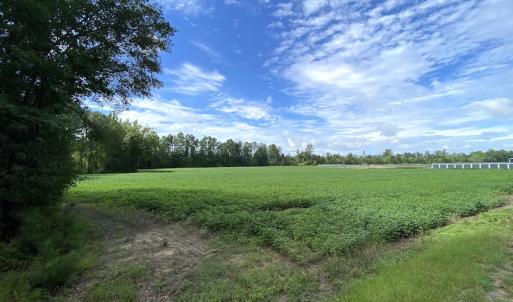 Photo #2 of SOLD property in Off Newmarket Road, Courtland, VA 6.0 acres