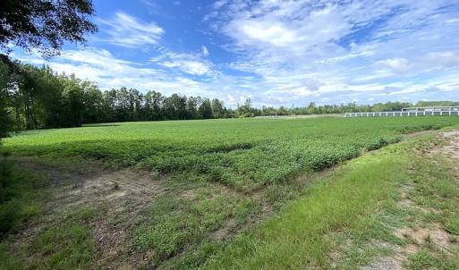 Photo #4 of SOLD property in Off Newmarket Road, Courtland, VA 6.0 acres