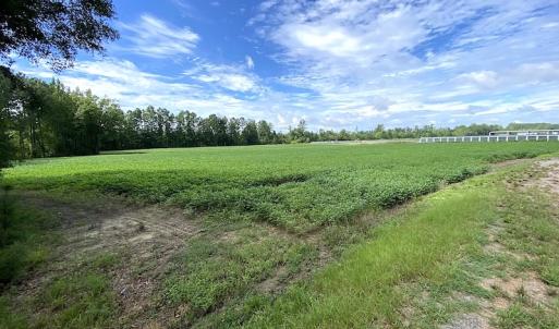 Photo #4 of SOLD property in Off Newmarket Road, Courtland, VA 6.0 acres