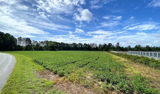 Photo #5 of SOLD property in Off Newmarket Road, Courtland, VA 6.0 acres