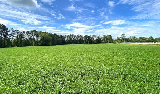 Photo #7 of SOLD property in Off Newmarket Road, Courtland, VA 6.0 acres