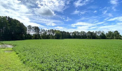 Photo #8 of SOLD property in Off Newmarket Road, Courtland, VA 6.0 acres
