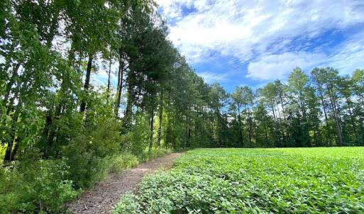 Photo #12 of SOLD property in Off Newmarket Road, Courtland, VA 6.0 acres