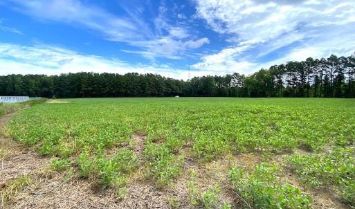 Photo #13 of SOLD property in Off Newmarket Road, Courtland, VA 6.0 acres