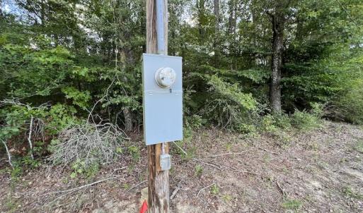 Photo #14 of SOLD property in Off Highway 42, Tarboro, NC 43.3 acres