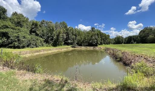 Photo #15 of SOLD property in Off Highway 42, Tarboro, NC 43.3 acres
